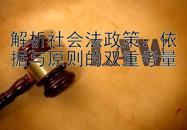 解析社会法政策：依据与原则的双重考量