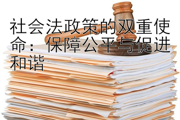 社会法政策的双重使命：保障公平与促进和谐