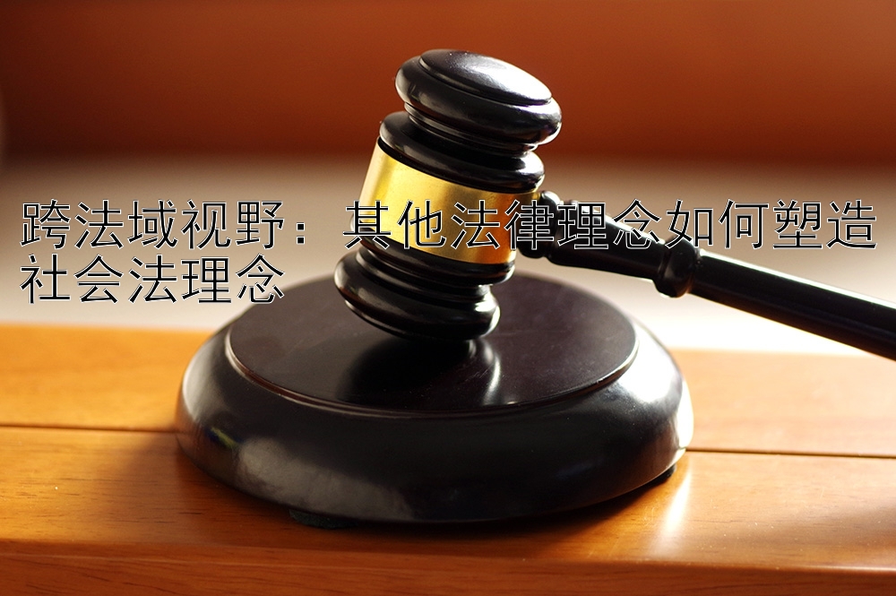 跨法域视野：其他法律理念如何塑造社会法理念