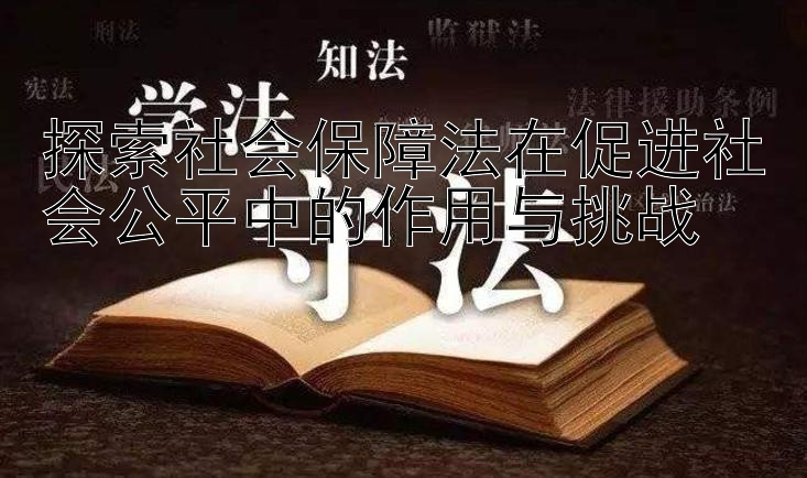 探索社会保障法在促进社会公平中的作用与挑战