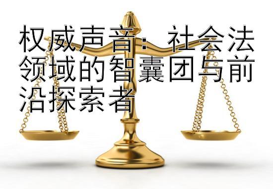 权威声音：社会法领域的智囊团与前沿探索者