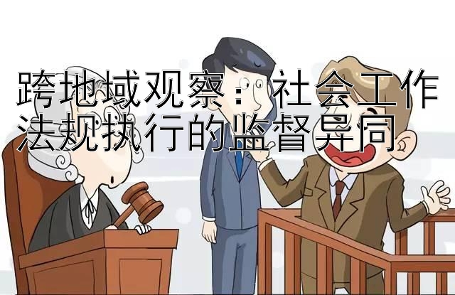 跨地域观察：社会工作法规执行的监督异同