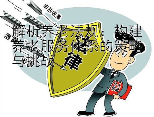 解析养老法规：构建养老服务体系的策略与挑战