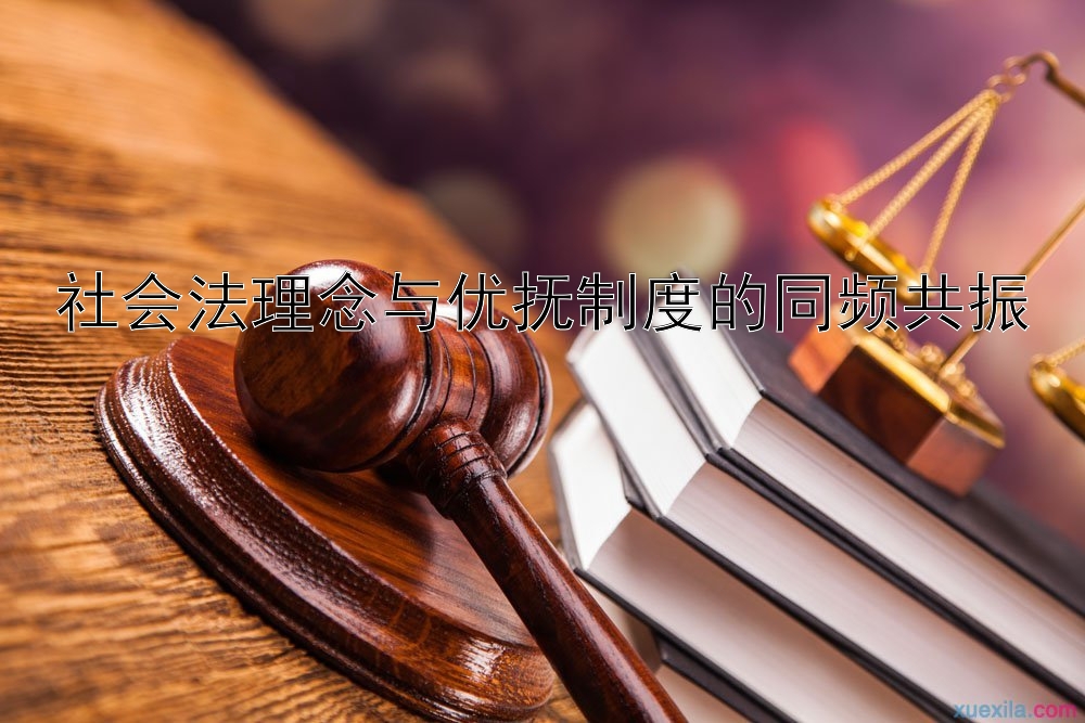 社会法理念与优抚制度的同频共振