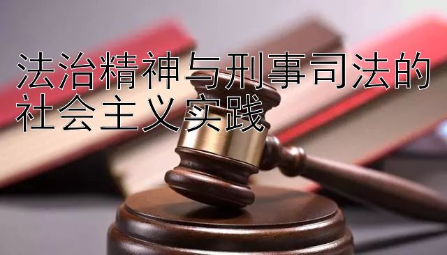 法治精神与刑事司法的社会主义实践