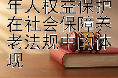 深入浅出：老年人权益保护在社会保障养老法规中的体现