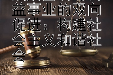 法治基石与公益事业的双向促进：构建社会主义和谐社会