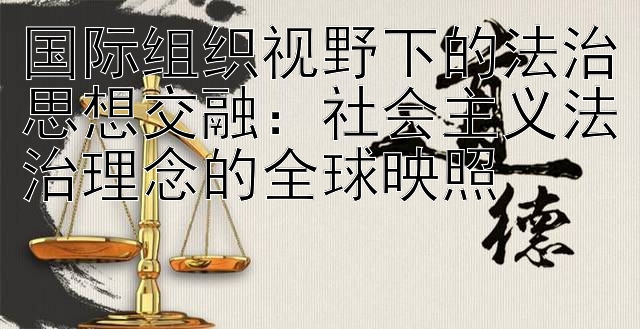 国际组织视野下的法治思想交融：社会主义法治理念的全球映照