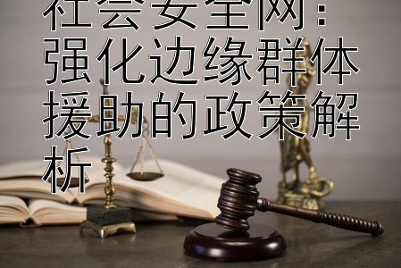 社会安全网：强化边缘群体援助的政策解析