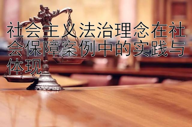 社会主义法治理念在社会保障案例中的实践与体现