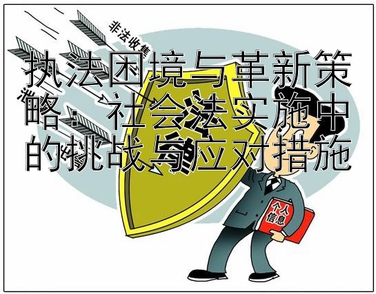 执法困境与革新策略：社会法实施中的挑战与应对措施