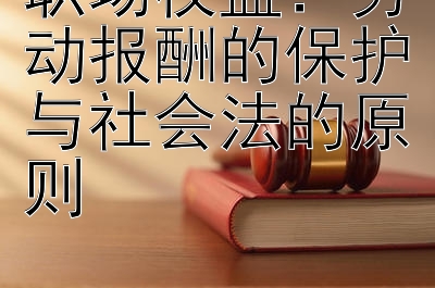 职场权益：劳动报酬的保护与社会法的原则