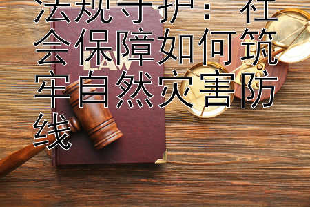 法规守护：社会保障如何筑牢自然灾害防线