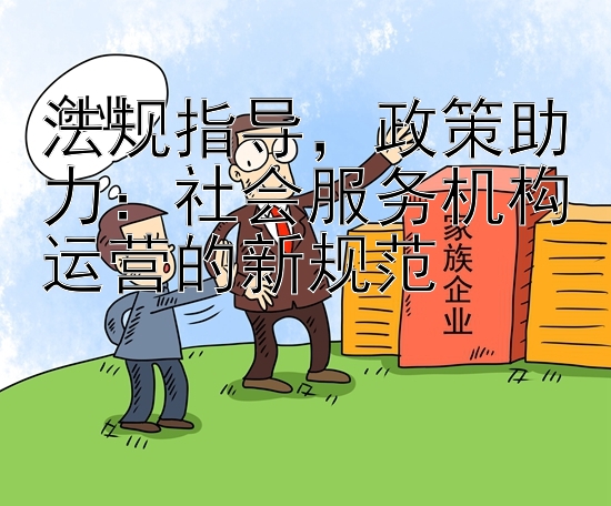 法规指导，政策助力：社会服务机构运营的新规范