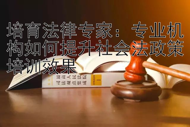 培育法律专家：专业机构如何提升社会法政策培训效果