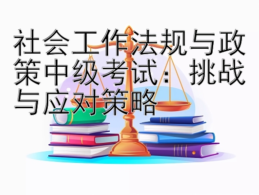 社会工作法规与政策中级考试：挑战与应对策略