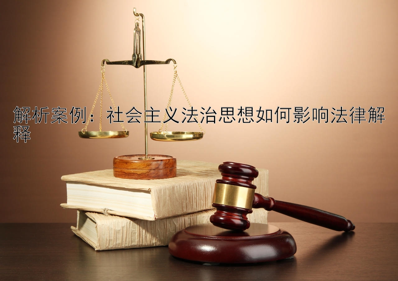 解析案例：社会主义法治思想如何影响法律解释