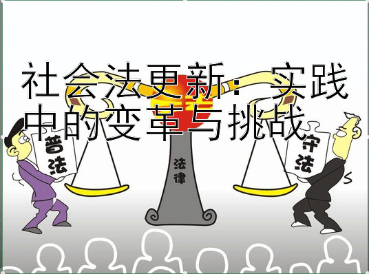 社会法更新：实践中的变革与挑战