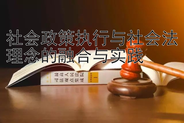 社会政策执行与社会法理念的融合与实践