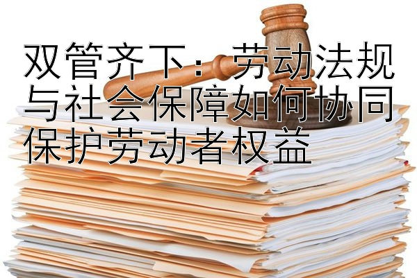 双管齐下：劳动法规与社会保障如何协同保护劳动者权益