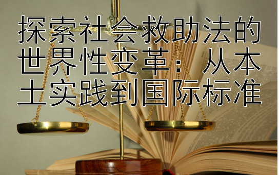 探索社会救助法的世界性变革：从本土实践到国际标准