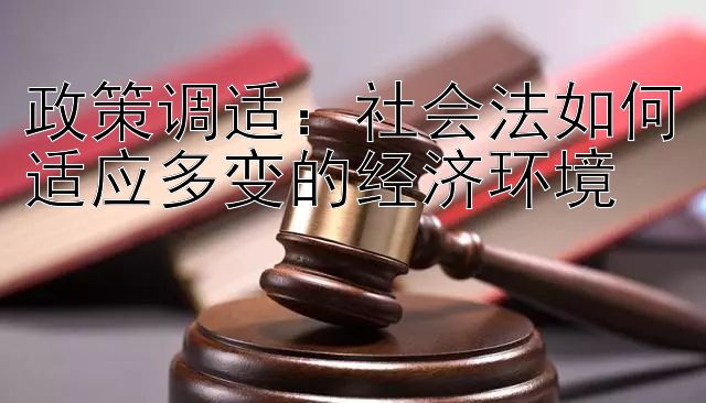 政策调适：社会法如何适应多变的经济环境