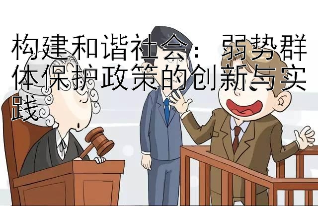 构建和谐社会：弱势群体保护政策的创新与实践