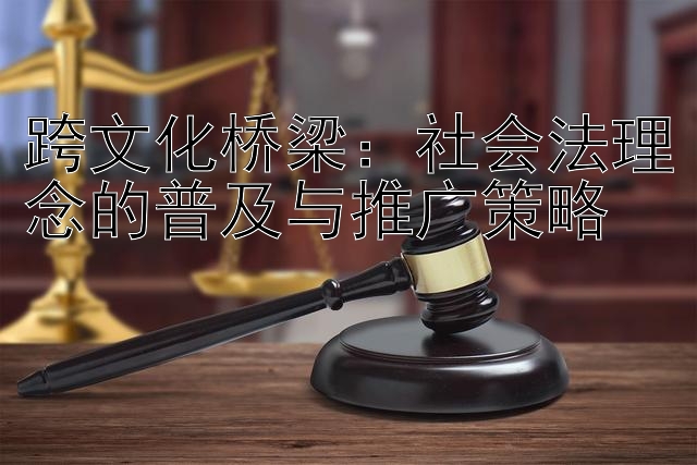 跨文化桥梁：社会法理念的普及与推广策略