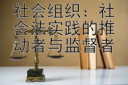 社会组织：社会法实践的推动者与监督者