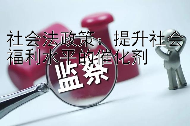 社会法政策：提升社会福利水平的催化剂