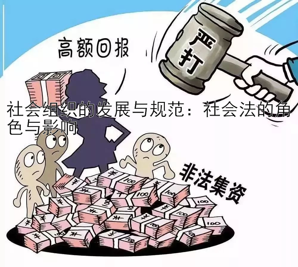 社会组织的发展与规范：社会法的角色与影响