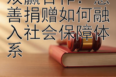 双赢合作：慈善捐赠如何融入社会保障体系