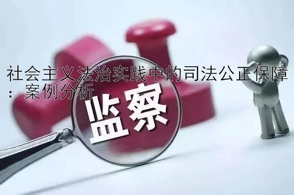 社会主义法治实践中的司法公正保障：案例分析