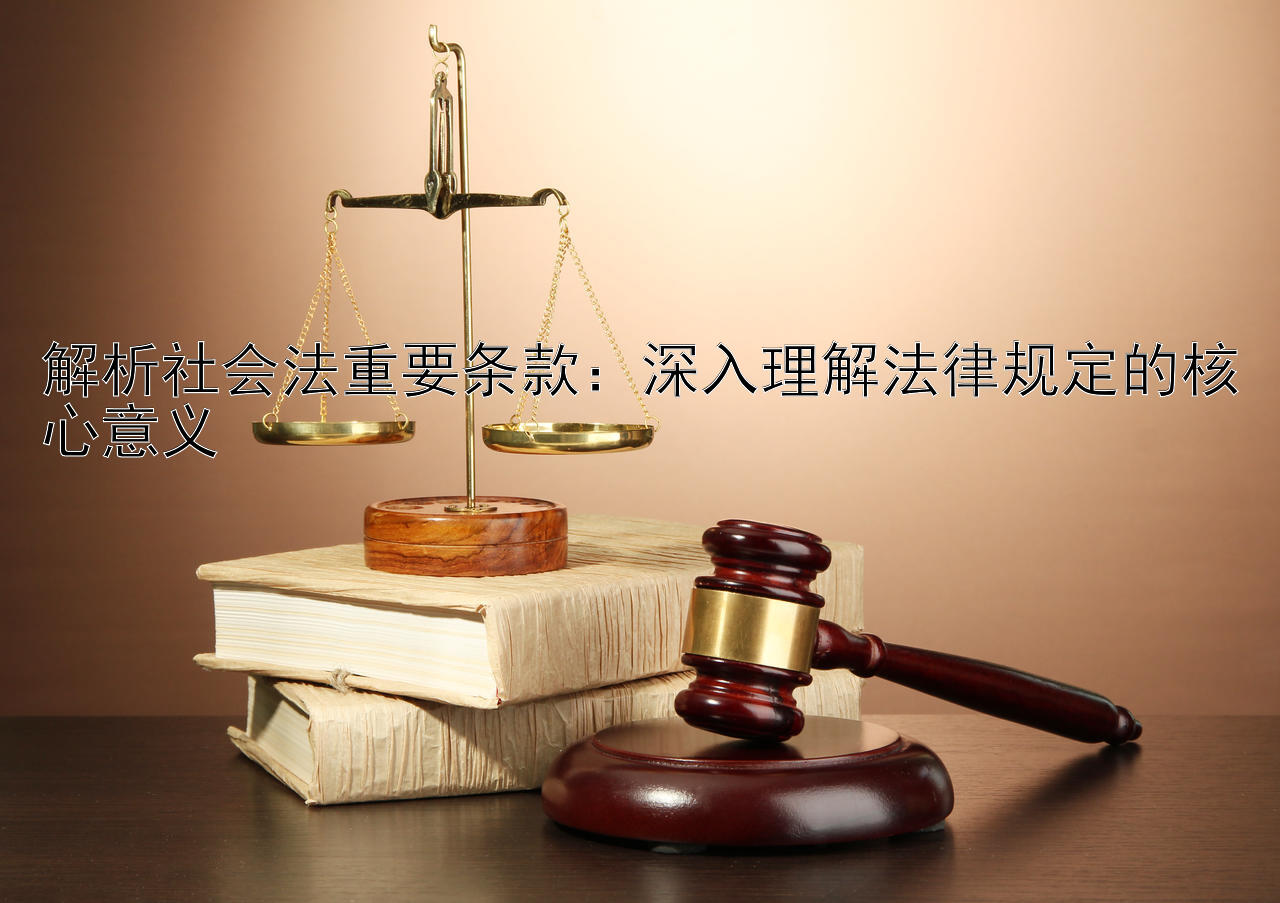 解析社会法重要条款：深入理解法律规定的核心意义