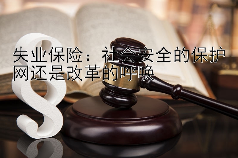 失业保险：社会安全的保护网还是改革的呼唤