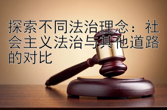 探索不同法治理念：社会主义法治与其他道路的对比