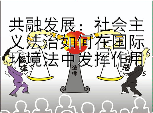 共融发展：社会主义法治如何在国际环境法中发挥作用