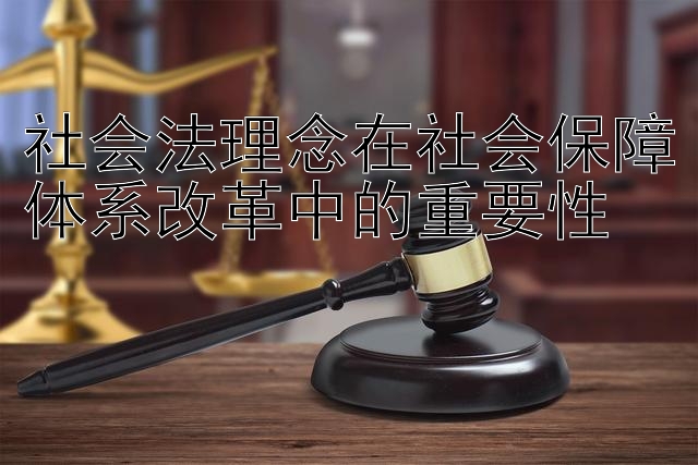 社会法理念在社会保障体系改革中的重要性