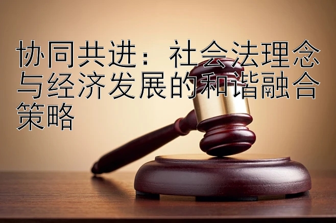 协同共进：社会法理念与经济发展的和谐融合策略