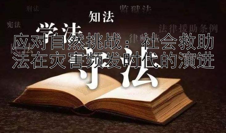 应对自然挑战：社会救助法在灾害频发时代的演进