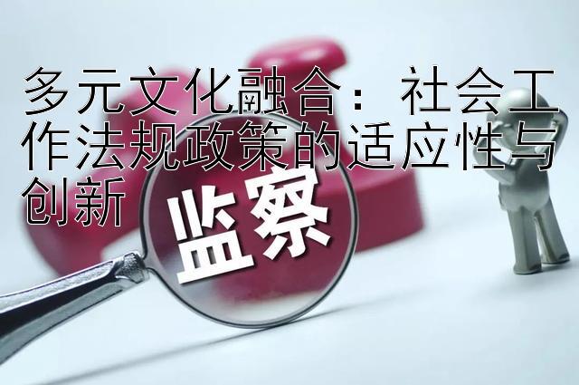 多元文化融合：社会工作法规政策的适应性与创新