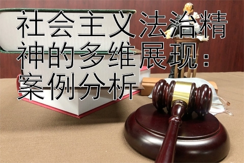 社会主义法治精神的多维展现：案例分析