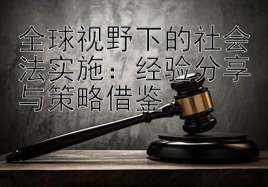 全球视野下的社会法实施：经验分享与策略借鉴