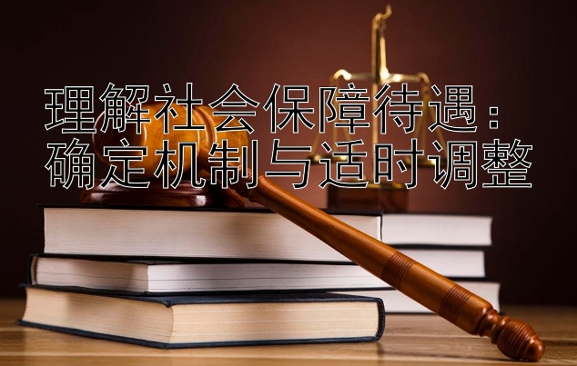 理解社会保障待遇：确定机制与适时调整