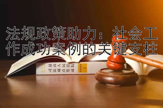 法规政策助力：社会工作成功案例的关键支柱