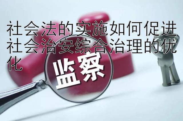 社会法的实施如何促进社会治安综合治理的优化