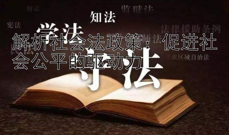 解析社会法政策：促进社会公平的驱动力