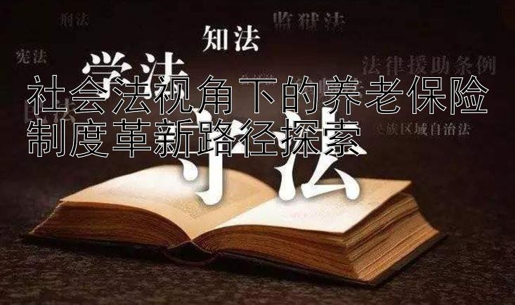 社会法视角下的养老保险制度革新路径探索