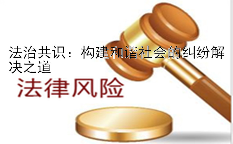 法治共识：构建和谐社会的纠纷解决之道