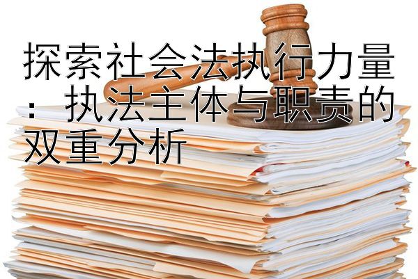 探索社会法执行力量：执法主体与职责的双重分析